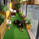 TheDisplayOutlet Artificial Turf for Dogs 13/16" Pile Height Image