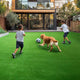 TheDisplayOutlet Artificial Turf Rolls for Playground Backyard 13/16" Pile Height Image