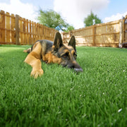 TheDisplayOutlet Artificial Turf for Dogs 1 3/8" Pile Height Image