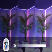 TheDisplayOutlet RGBW LED Controller & RF Remote for Outdoor Neon Rope Light 110V Image