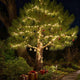200' Mini Christmas String Lights Outdoor 110V Warm White