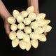 TheDisplayOutlet C9 Light Bulbs with E17 Base UL Certified 25ct/pk Image
