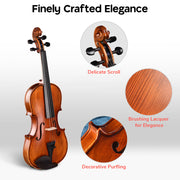 200A Full Size Violin with Bow Case Maple Wood
