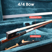 200A Full Size Violin with Bow Case Maple Wood