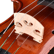 Advanced Acoustic Violin with Bow Case Maple Wood