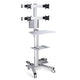 TheDisplayOutlet NexusX 2×2 Quad-Monitor Mobile Computer Cart for 10-21in Screens, Silver Image