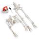 5'5" Full Body Cowboy Pirate Skeleton Posable Halloween Decoration