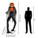 TheDisplayOutlet 7ft Pumpkin Head Scorched Scarecrow Halloween Decoration Image