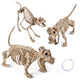 Animal Skeleton Halloween Decorations
