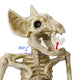 TheDisplayOutlet Animal Skeleton Halloween Decorations Image