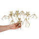 TheDisplayOutlet Animal Skeleton Halloween Decorations, Bat 4ct/pk Image