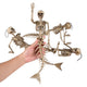 Animal Skeleton Halloween Decorations