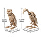 Animal Skeleton Halloween Decorations