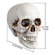 TheDisplayOutlet Skull Decor Halloween Set of 4 Image