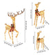 3pcs Lighted Deer Christmas Outdoor Decoration