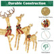 3pcs Lighted Deer Christmas Outdoor Decoration