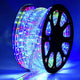 TheDisplayOutlet Outdoor Rope Light - 120V Plug-in, 1/2"(13mm), RGB Image