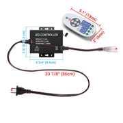 TheDisplayOutlet 2700K LED Controller & RF Remote for Outdoor Neon Rope Light 110V Image