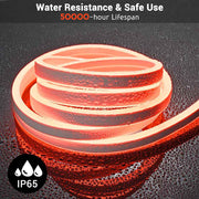 TheDisplayOutlet Hardwire 120V Outdoor Neon Rope Light RGBW App Music Sync RF Remote Image