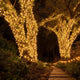 200' Mini Christmas String Lights Outdoor 110V Warm White