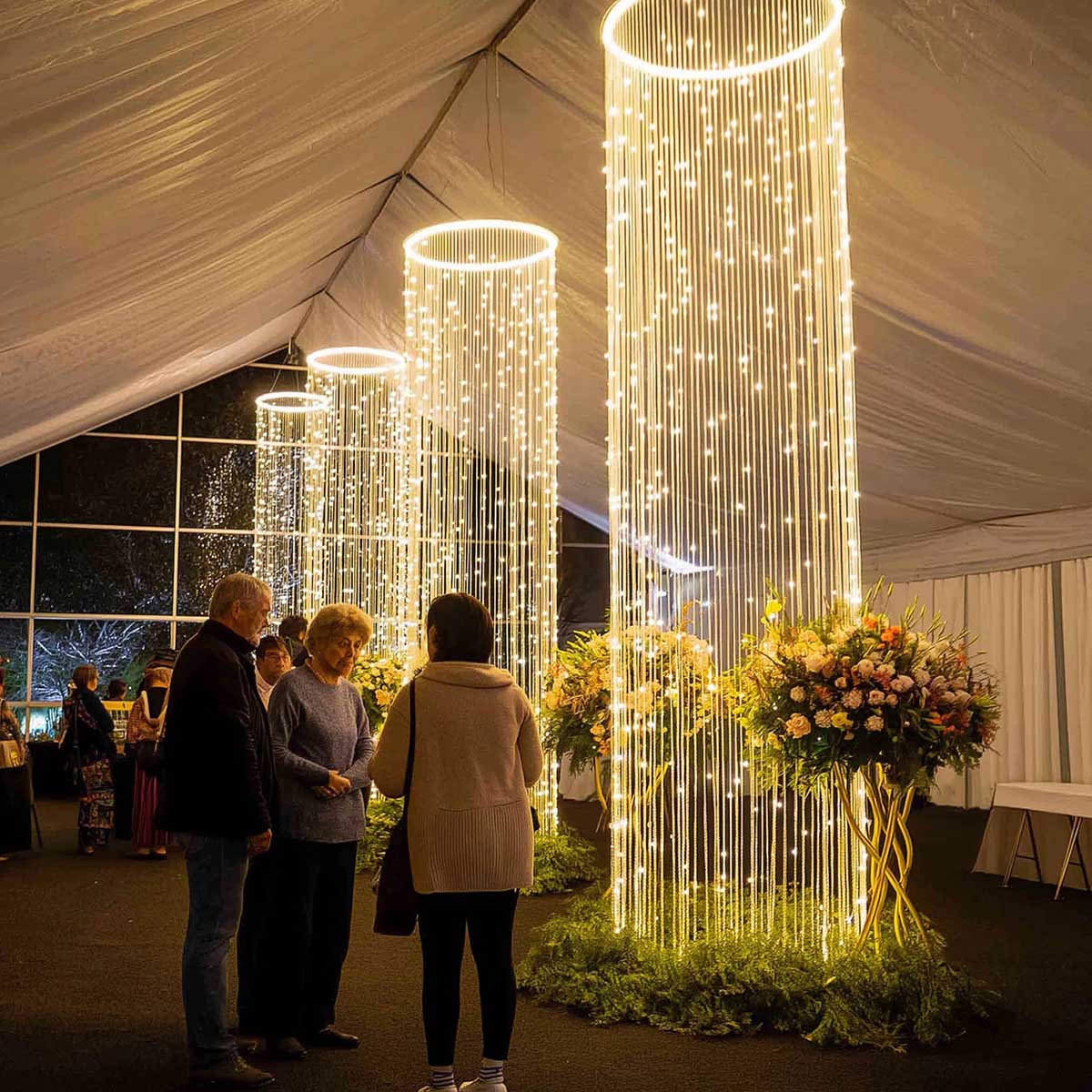 TheDisplayOutlet String Light - Thumbnail 5