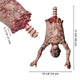 Life-Size Halloween Props Severed Skinned Hanging Torso