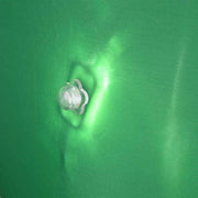 TheDisplayOutlet Halloween Inflatable Monster Hand Eyeball Music & 4 Modes Image