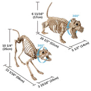 Animal Skeleton Halloween Decorations