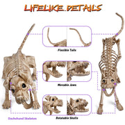 Animal Skeleton Halloween Decorations