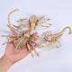 Animal Skeleton Halloween Decorations