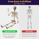 TheDisplayOutlet 5'5" Full Body Cowboy Pirate Skeleton Posable Halloween Decoration Image