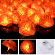 TheDisplayOutlet 10' Marigold Lights 20 LEDs Halloween Garland Day of Dead, 2ct. Image
