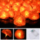 TheDisplayOutlet 10' Marigold Lights 20 LEDs Halloween Garland Day of Dead, 2ct. Image