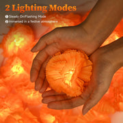 TheDisplayOutlet 20' Marigold Lights 40 LEDs Halloween Garland Day of Dead, 2ct. Image