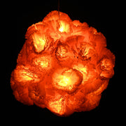 TheDisplayOutlet 20' Marigold Lights 40 LEDs Halloween Garland Day of Dead, 2ct. Image