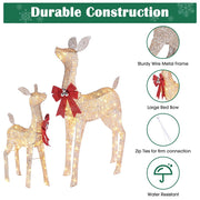 Outdoor Lighted Reindeer for Yard, 2-piece(Doe & Fawn)