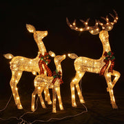 3pcs Lighted Deer Christmas Outdoor Decoration