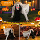 Halloween Animated Crawling Woman Decoration Sound Motion