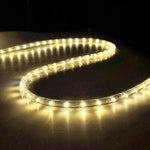 DELight 150' LED Rope Light