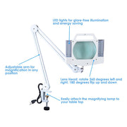 5x Mag Desk Swing Lamp with Magnifier and Clamp