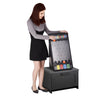 WinSpin 25"x14" 4-Slot Plinking Prize Drop Board & Pucks