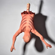 Life-Size Halloween Props Severed Skinned Hanging Torso